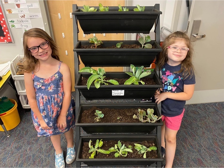 students are showing off succulents they repotted  